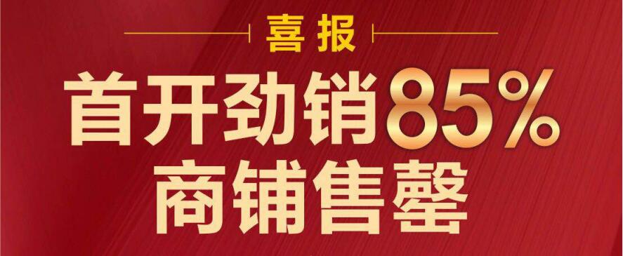 918.com阳光首开劲销85%！商铺售罄
